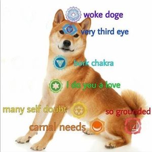 Meet your Posher, Hunter